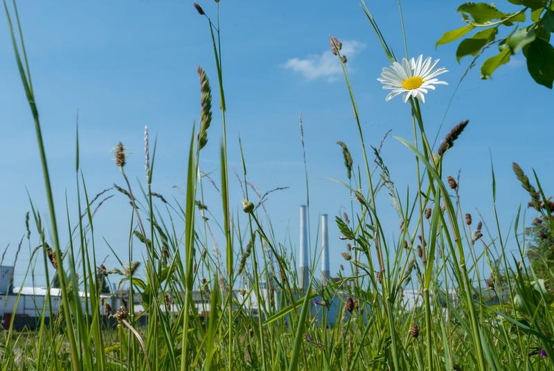 Mystic Outdoor Havens