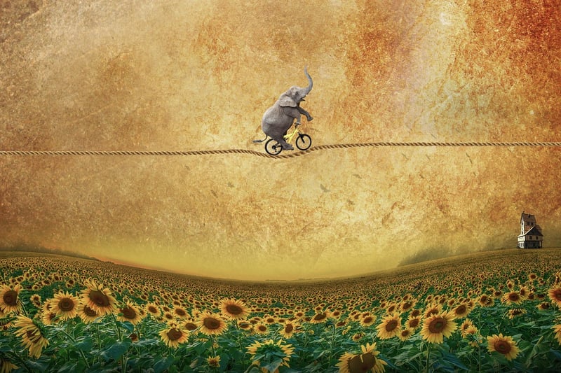 Whimsical Flower Fields